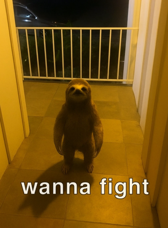 wanna fight