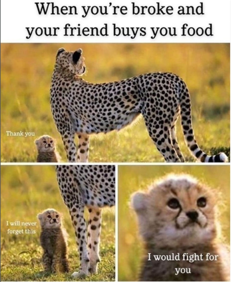 When you're broke and your friend buys you food Thank you I will never forget this I would fight for you