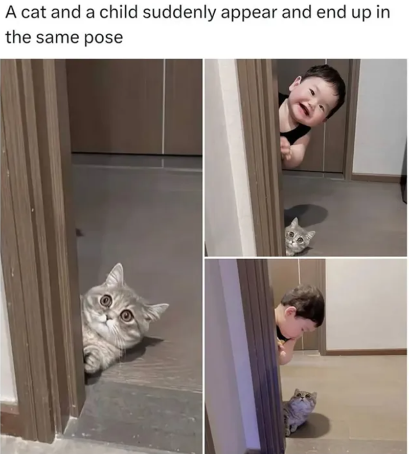 A cat and a child suddenly appear and end up in the same pose