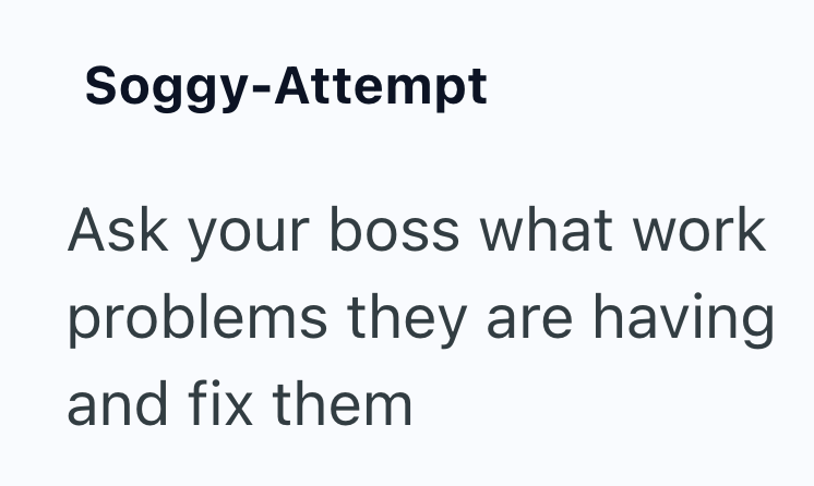 Soggy-Attempt Ask your boss what work problems they are having and fix them