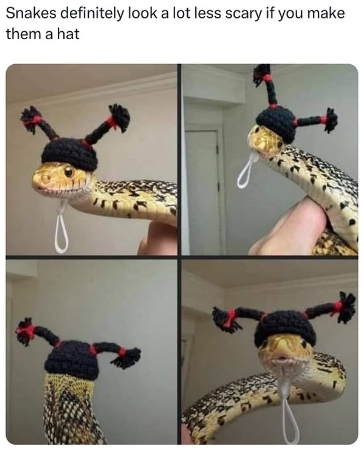 Snakes definitely look a lot less scary if you make them a hat
