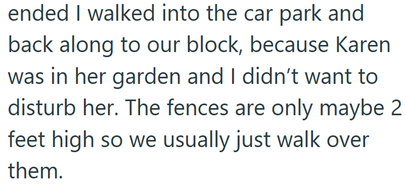 ended I walked into the car park and back along to our block, because Karen was in her garden and I didn't want to disturb her. The fences are only maybe 2 feet high so we usually just walk over them.