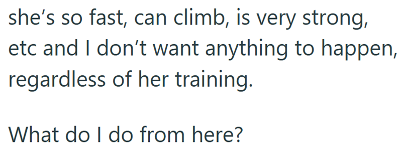 she's so fast, can climb, is very strong, etc and I don't want anything to happen, regardless of her training. What do I do from here?