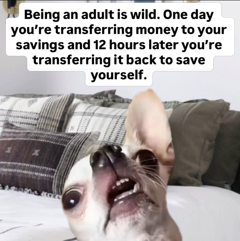 Being an adult is wild. One day you're transferring money to your savings and 12 hours later you're transferring it back to save yourself.