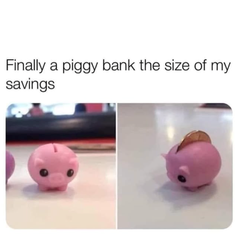 Finally a piggy bank the size of my savings