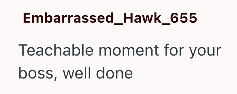 Embarrassed_Hawk_655 Teachable moment for your boss, well done
