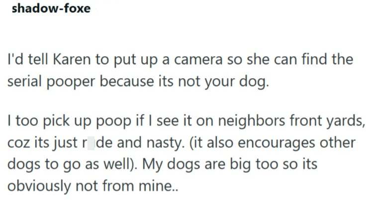 shadow-foxe I'd tell Karen to put up a camera so she can find the serial pooper because its not your dog. I too pick up poop if I see it on neighbors front yards, coz its just r de and nasty. (it also encourages other dogs to go as well). My dogs are big too so its obviously not from mine..