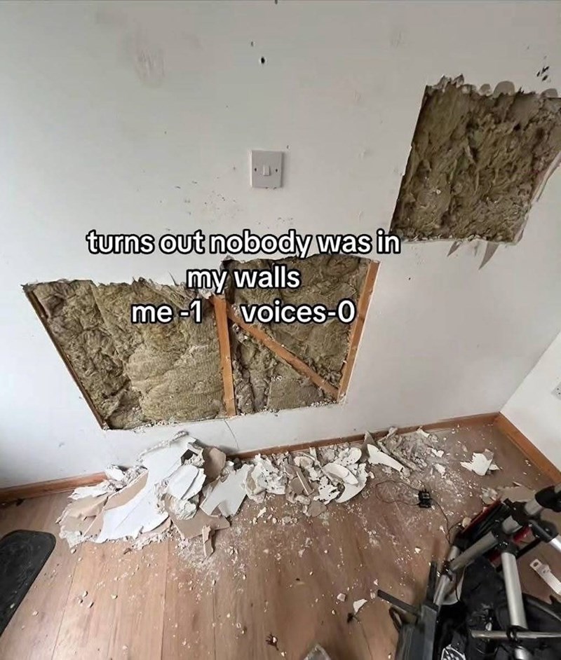 turns out nobody was in my walls me-1 voices-0