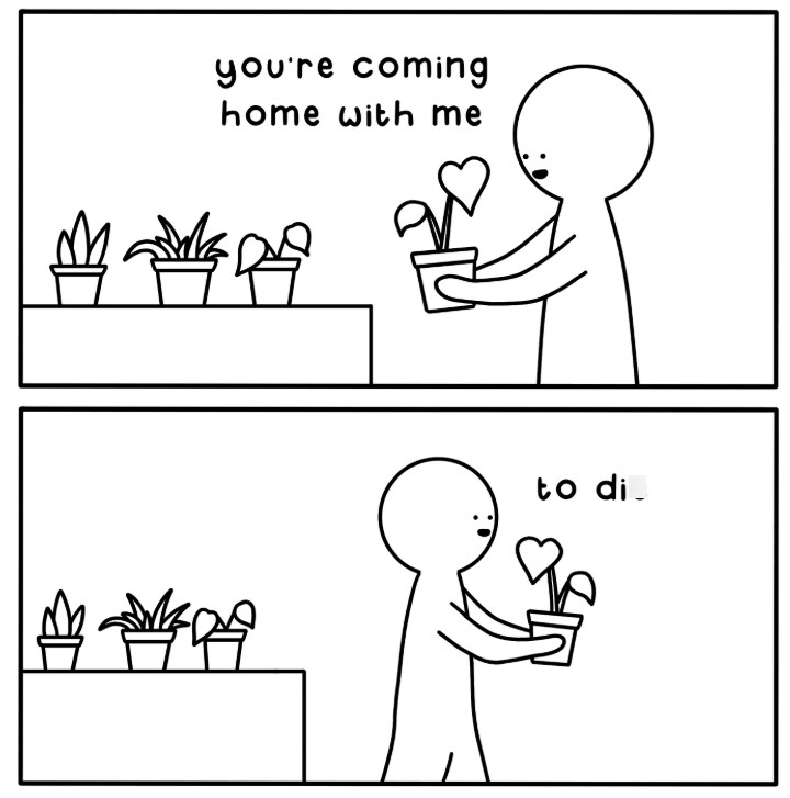 you're coming home with me 招呼吧 呼吧 to di