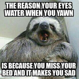 THE REASON YOUR EYES WATER WHEN YOU YAWN IS BECAUSE YOU MISS YOUR BED AND IT MAKES YOU SAD