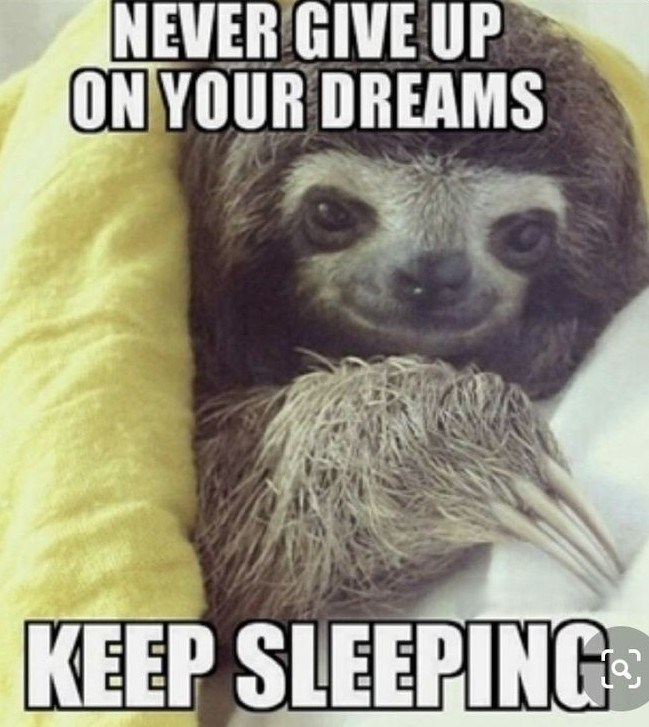 NEVER GIVE UP ON YOUR DREAMS KEEP SLEEPING
