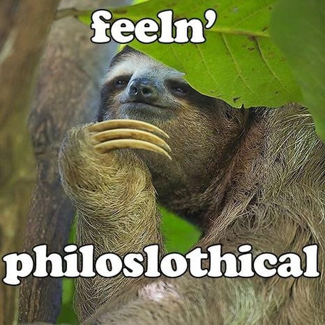 feeln' philoslothical