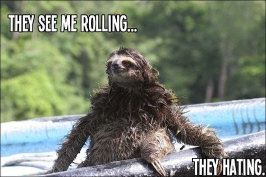 THEY SEE ME ROLLING THEY HATING.