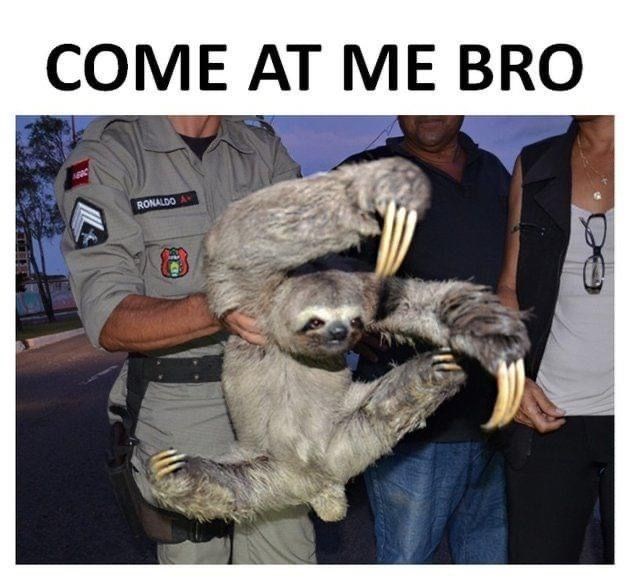COME AT ME BRO RONALDO AV