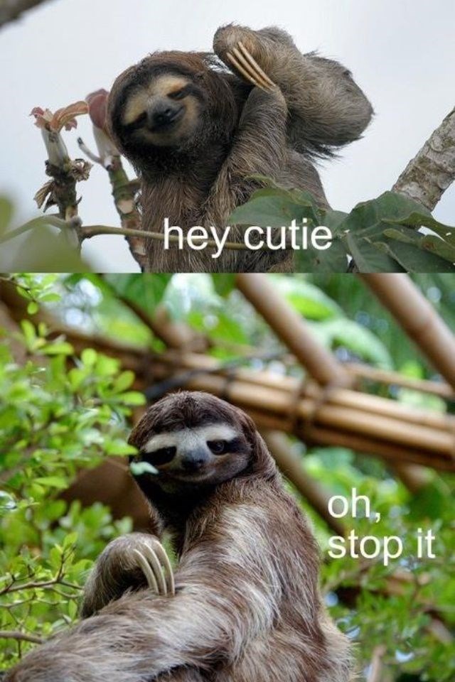 hey cutie oh, stop it