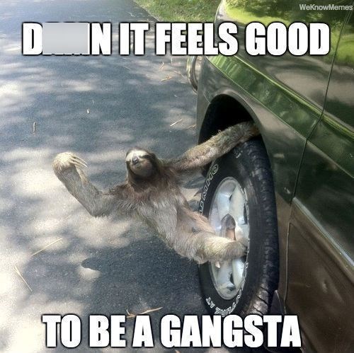 WeKnowMemes DIN IT FEELS GOOD TO BE A GANGSTA