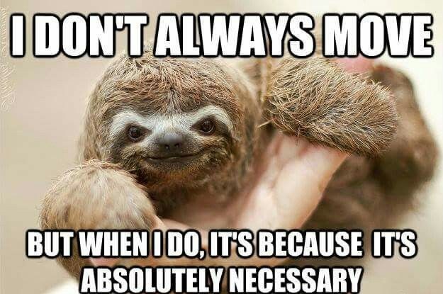 I DON'T ALWAYS MOVE BUT WHEN I DO, IT'S BECAUSE IT'S ABSOLUTELY NECESSARY