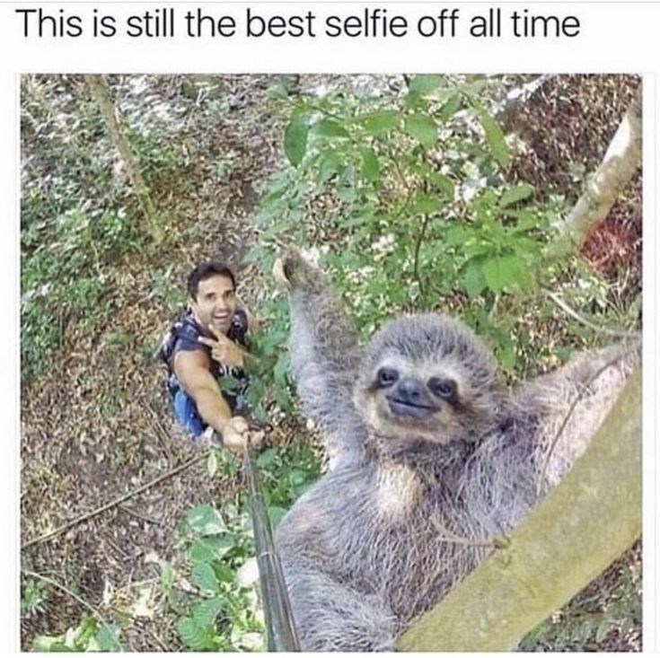 This is still the best selfie off all time
