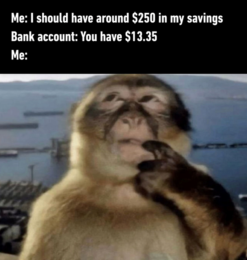 Me: I should have around $250 in my savings Bank account: You have $13.35 Me: