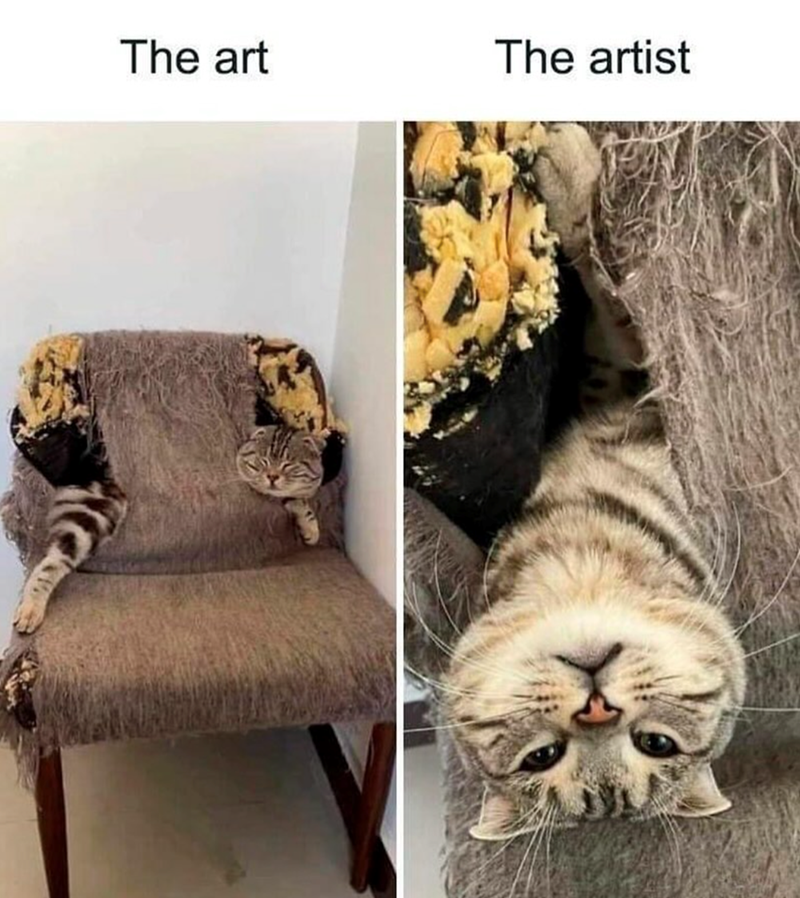 The art The artist