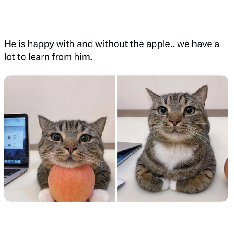He is happy with and without the apple.. we have a lot to learn from him. 111 111