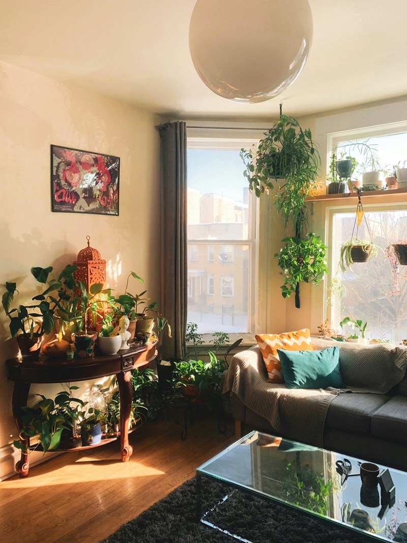 Corner of a grey couch with a window and lots of plants.