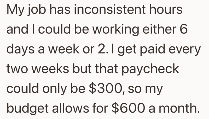 My job has inconsistent hours and I could be working either 6 days a week or 2. I get paid every two weeks but that paycheck could only be $300, so my budget allows for $600 a month.