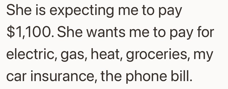 She is expecting me to pay $1,100. She wants me to pay for electric, gas, heat, groceries, my car insurance, the phone bill.