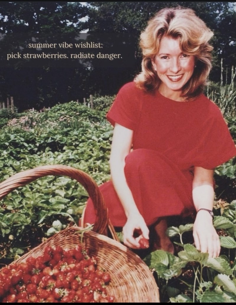 summer vibe wishlist: pick strawberries. radiate danger.