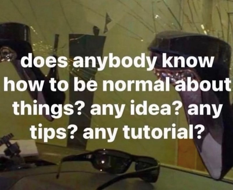 does anybody know how to be normal about things? any idea? any tips? any tutorial?