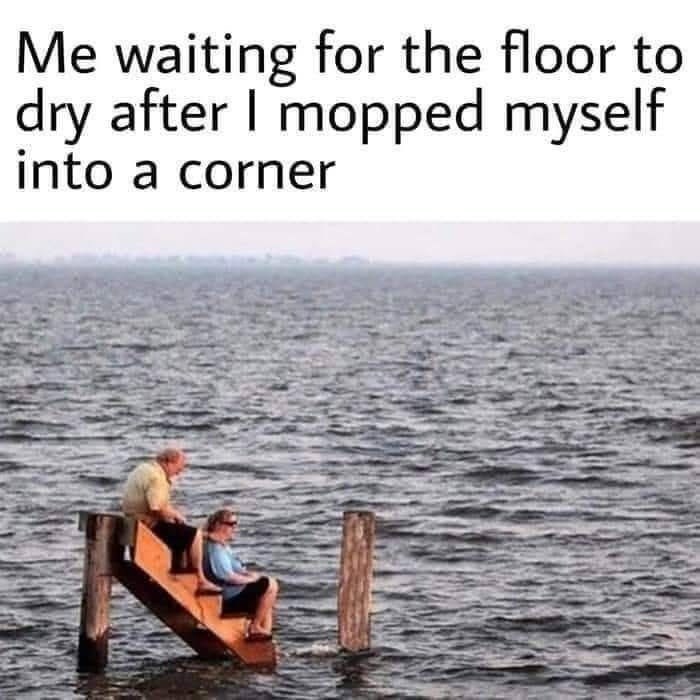 Me waiting for the floor to dry after I mopped myself into a corner