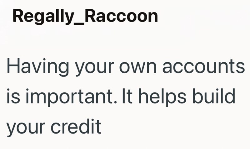 Regally_Raccoon Having your own accounts is important. It helps build your credit