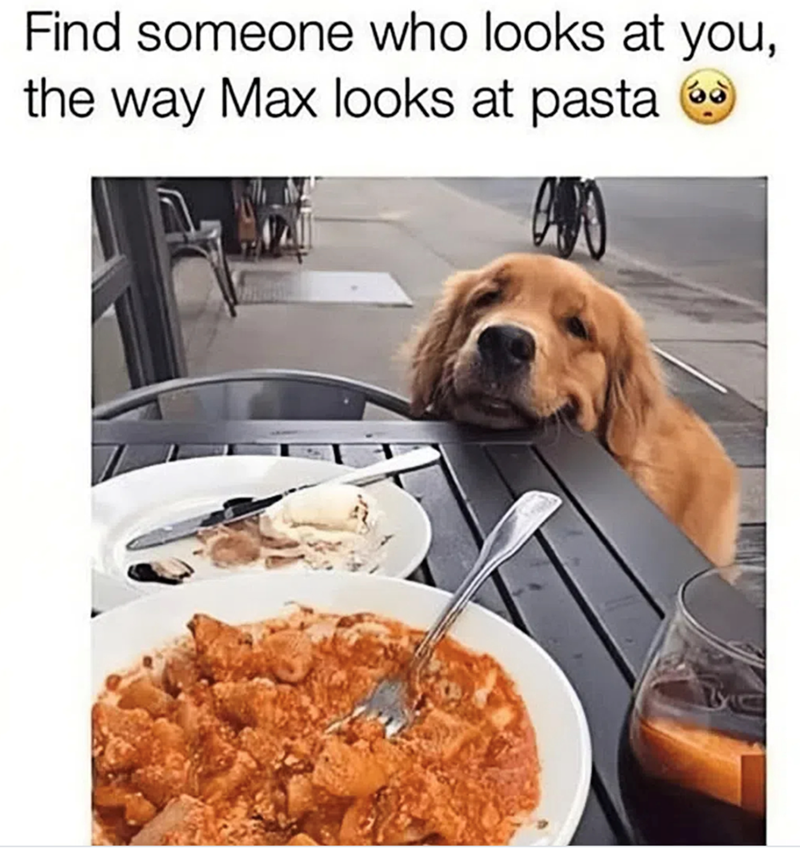 Find someone who looks at you, the way Max looks at pasta