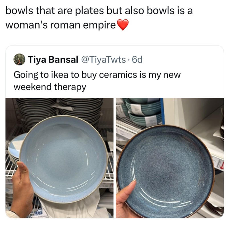 bowls that are plates but also bowls is a woman's roman empire' Tiya Bansal @TiyaTwts. 6d Going to ikea to buy ceramics is my new weekend therapy