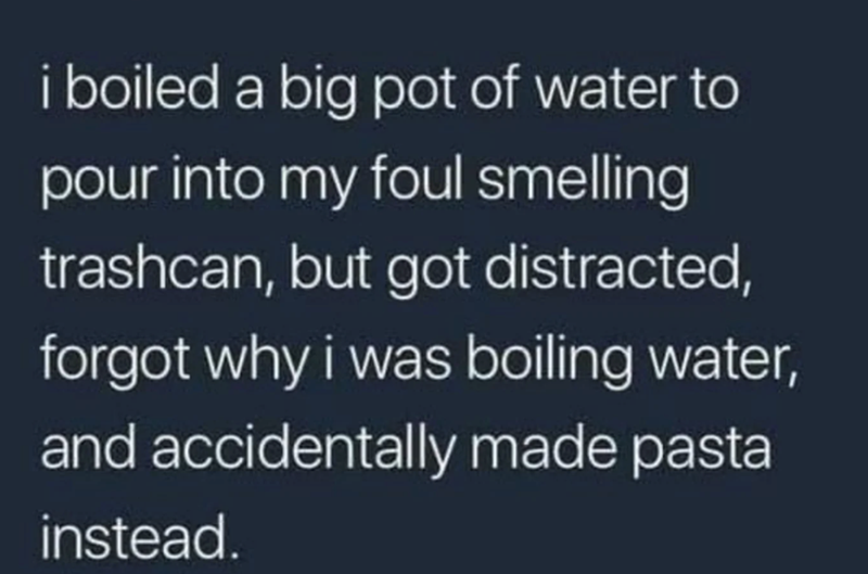 i boiled a big pot of water to pour into my foul smelling trashcan, but got distracted, forgot why i was boiling water, and accidentally made pasta instead.