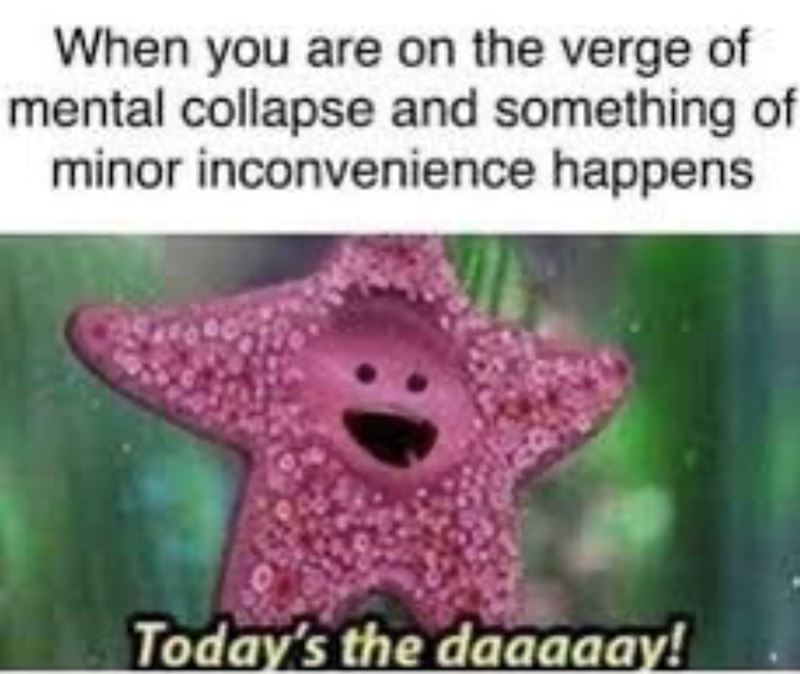 When you are on the verge of mental collapse and something of minor inconvenience happens. Today's the daaaaay!