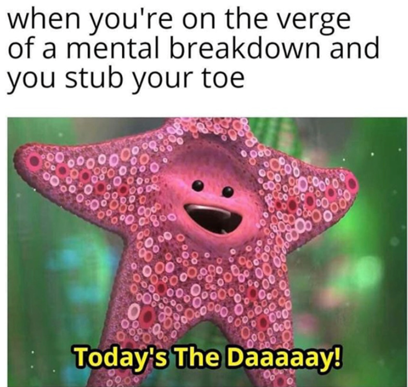 when you're on the verge of a mental breakdown and you stub your toe Today's The Daaaaay!