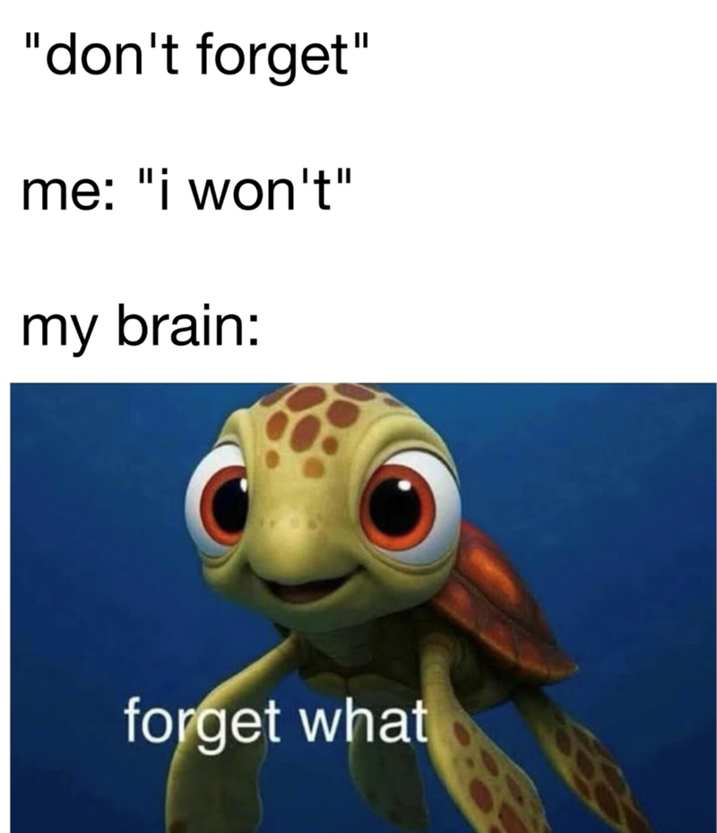 "don't forget" me: "i won't" my brain: forget what