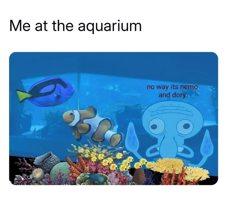 Me at the aquarium no way its nemo and dory