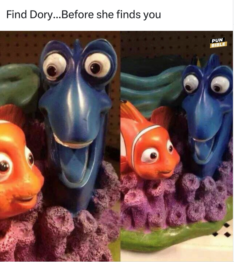 Find Dory...Before she finds you PUN BIBLE