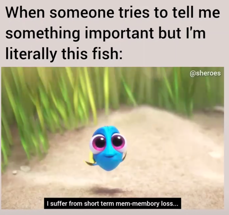 When someone tries to tell me something important but I'm literally this fish: I suffer from short term mem-membory loss... @sheroes