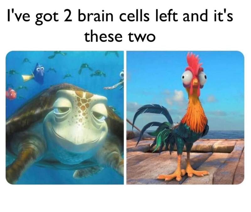 I've got 2 brain cells left and it's these two