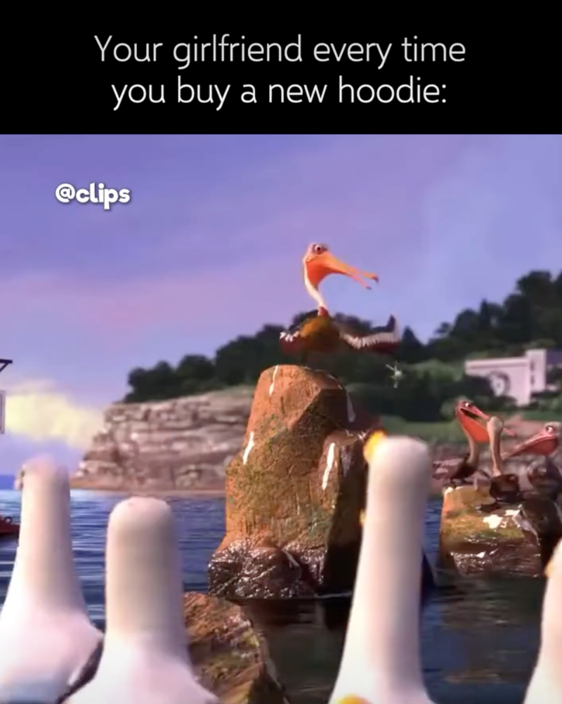Your girlfriend every time you buy a new hoodie: @clips