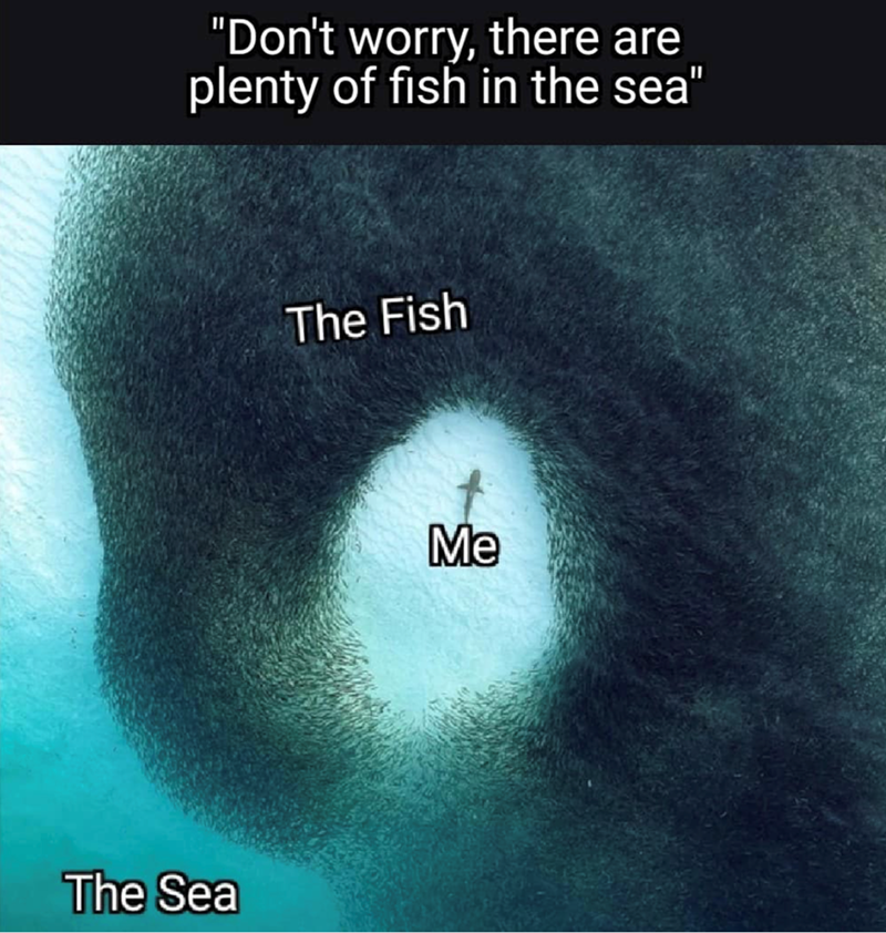 "Don't worry, there are plenty of fish in the sea" The Sea The Fish Me