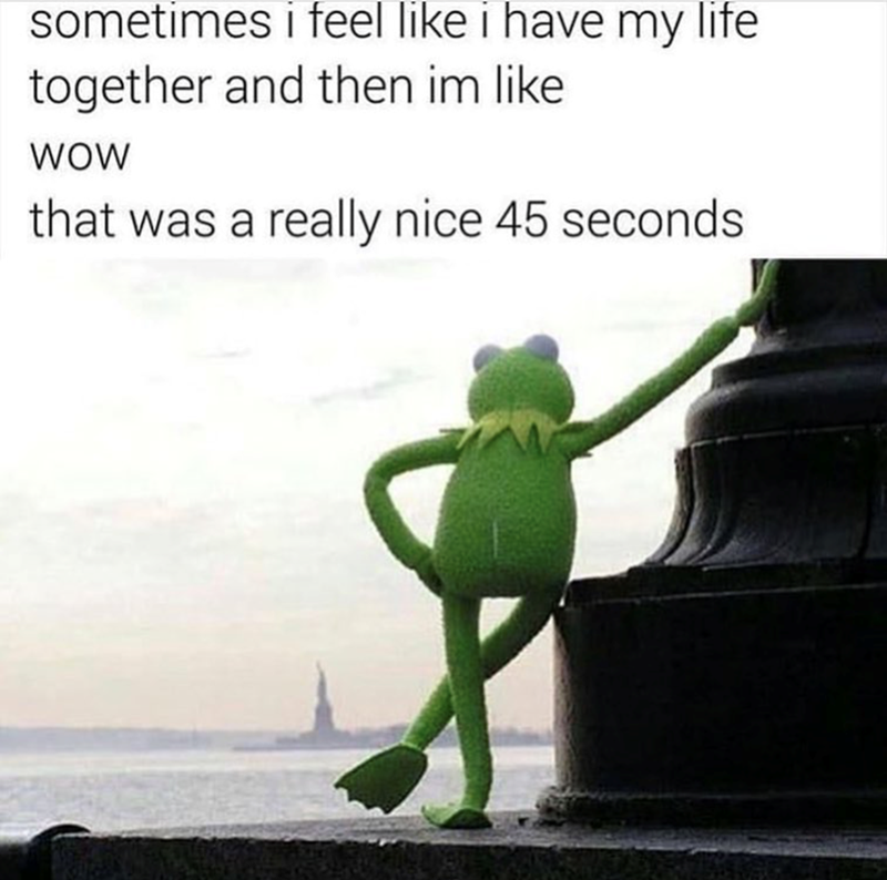 sometimes i feel like i have my life together and then im like WOW that was a really nice 45 seconds