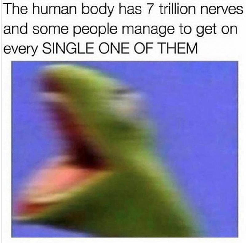 The human body has 7 trillion nerves. and some people manage to get on every SINGLE ONE OF THEM