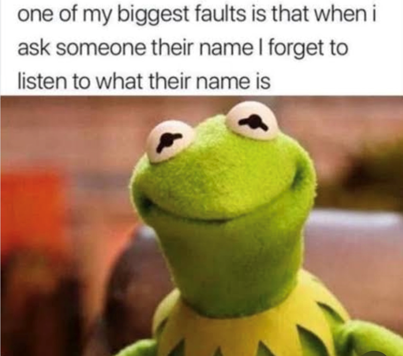 one of my biggest faults is that when i ask someone their name I forget to listen to what their name is