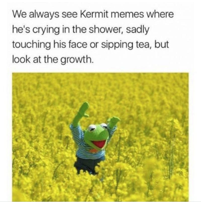 We always see Kermit memes where he's crying in the shower, sadly touching his face or sipping tea, but look at the growth.