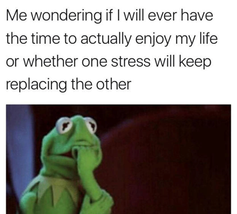 Me wondering if I will ever have the time to actually enjoy my life or whether one stress will keep replacing the other