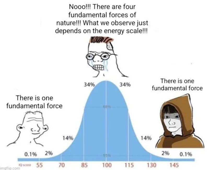 Nooo!!! There are four fundamental forces of nature!!! What we observe just depends on the energy scale!!! There is one fundamental force 34% 34% 69 There is one fundamental force 14% 14% 0.1% 2% 10 score 55 70 85 100 18 2% 0.1% 115 130 145 imgflip.com